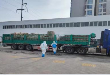 伊缅园xyz视频人入口