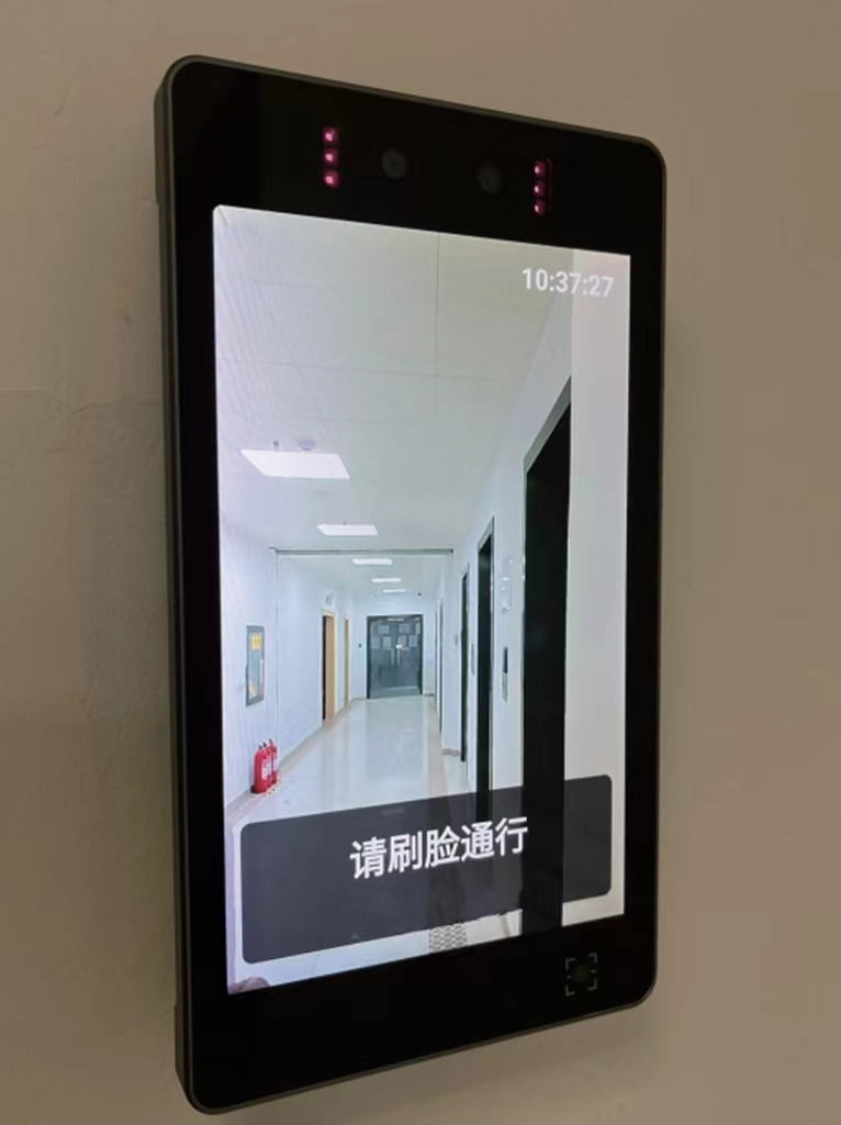 伊缅园xyz视频人入口