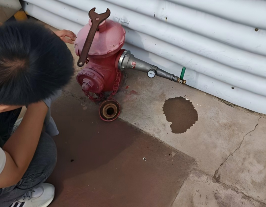 伊缅园xyz视频人入口