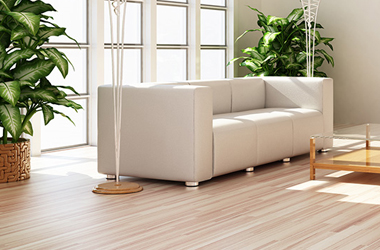 伊缅园xyz视频人入口