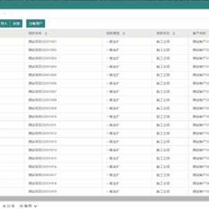 项目全过程管控系统