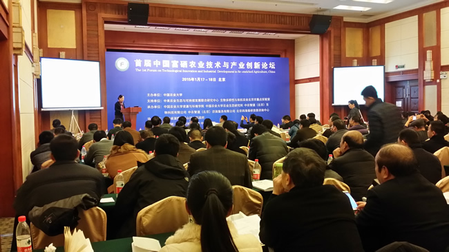 伊缅园xyz视频人入口