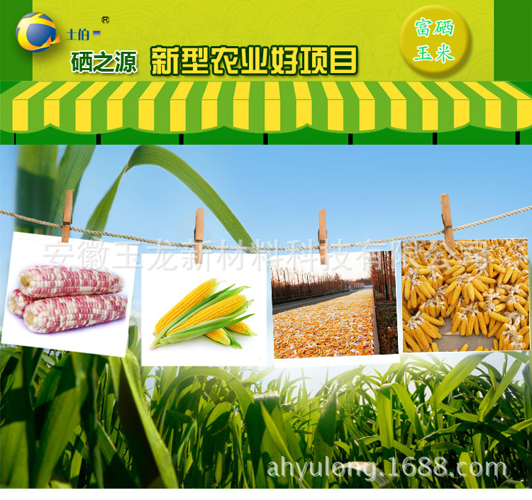 伊缅园xyz视频人入口