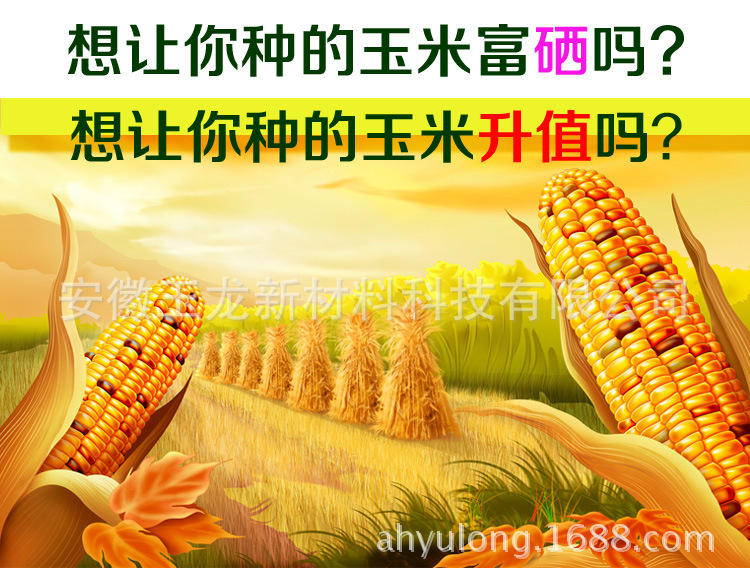 伊缅园xyz视频人入口