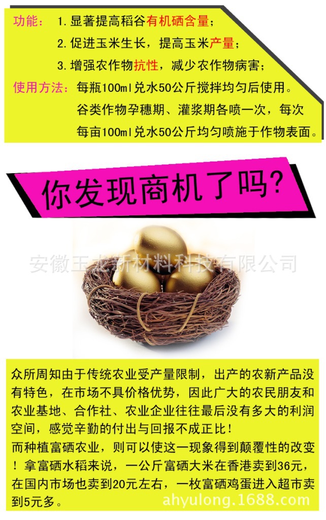 伊缅园xyz视频人入口