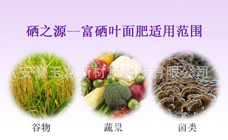 伊缅园xyz视频人入口