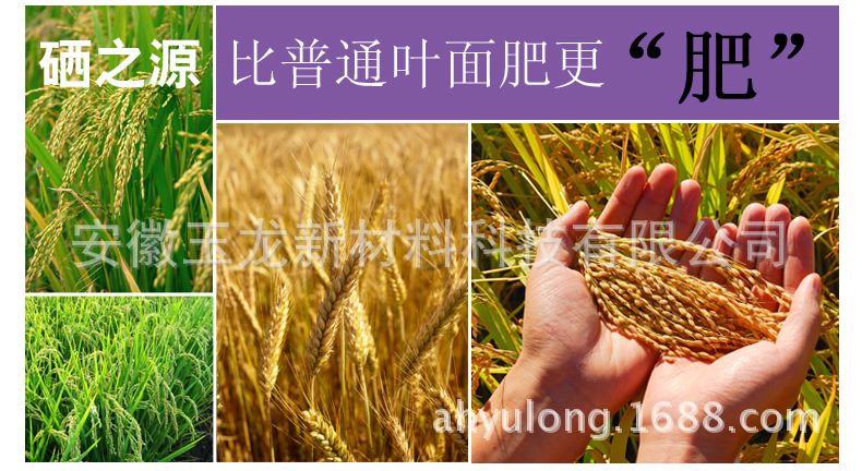 伊缅园xyz视频人入口