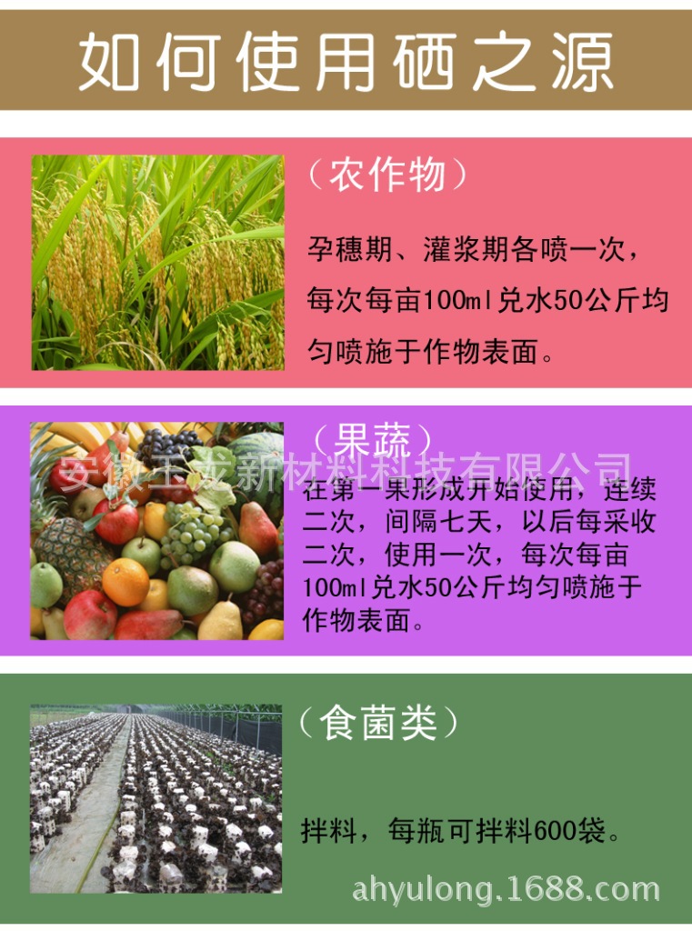 伊缅园xyz视频人入口