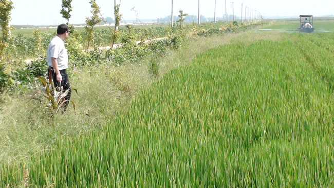 伊缅园xyz视频人入口