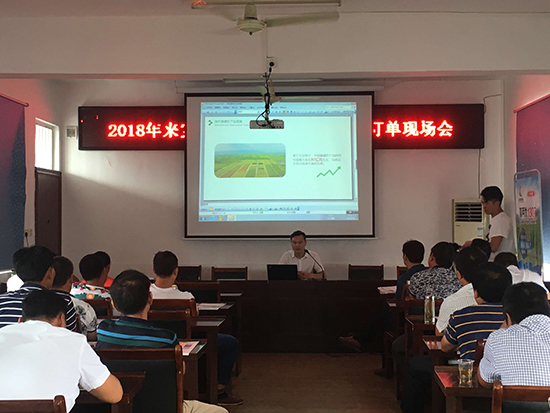 伊缅园xyz视频人入口