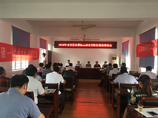 伊缅园xyz视频人入口