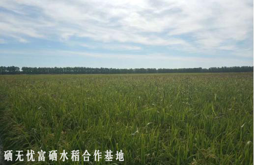 伊缅园xyz视频人入口