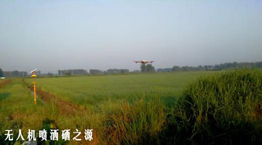 伊缅园xyz视频人入口