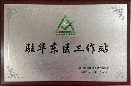 伊缅园xyz视频人入口