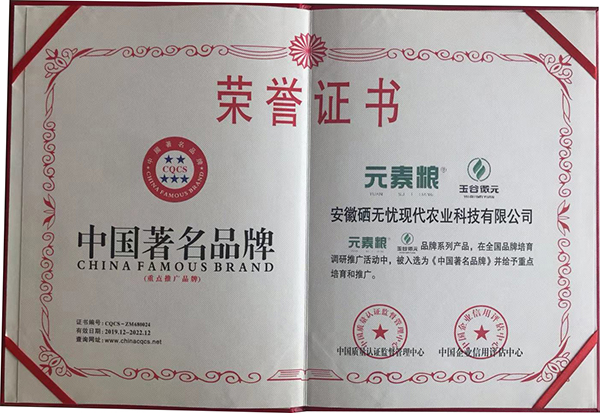 伊缅园xyz视频人入口