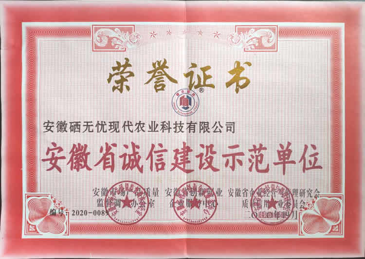 伊缅园xyz视频人入口